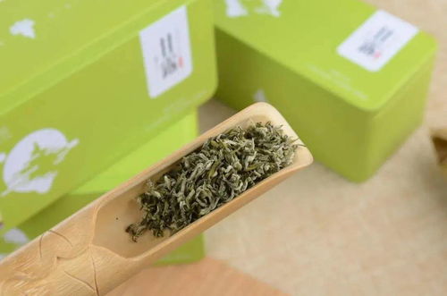 五星級(jí)園區(qū)建設(shè)的 名山做法