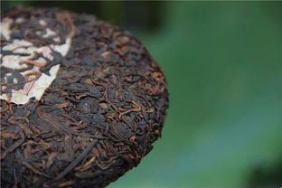 元昌全國茶友培養(yǎng)計劃