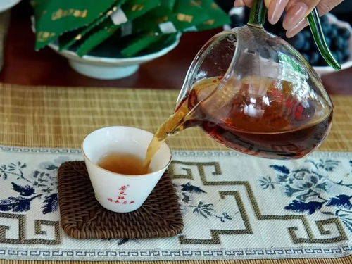 不歇茶室 365天在線 無(wú)界茶生活 開(kāi)啟品茗新體驗(yàn)